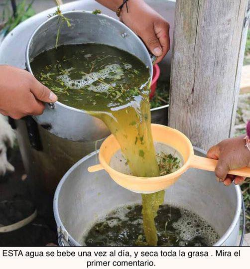 Esta jugo se bebe una sola vez al dia y elimina la grasa