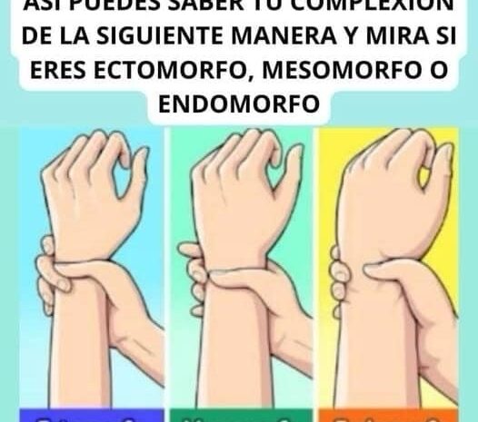 Identifica tu Tipo de Cuerpo y Mejora tu Salud