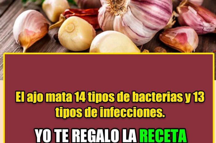 Bacterias que el Ajo nos Ayuda a Combatir