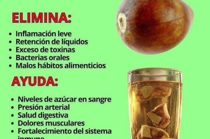 Semilla de Aguacate: El Tesoro Oculto que Limpia tu Cuerpo, Reduce el Colesterol y Protege tu Corazón