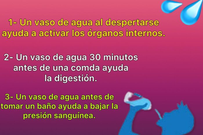 La Importancia de Beber Agua Todos los Días: Beneficios para la Salud