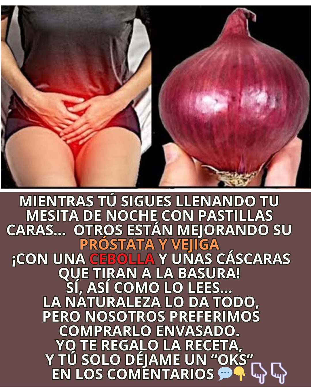 Cebolla y salud de la próstata y vejiga