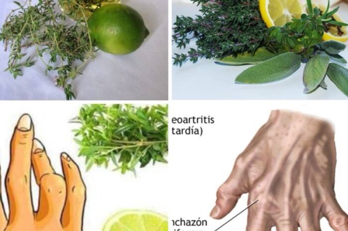 Tomillo con Limón: Un Remedio Natural para la Artritis