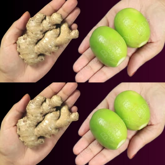 Ingredientes saludables: jengibre y frutos de jabón
