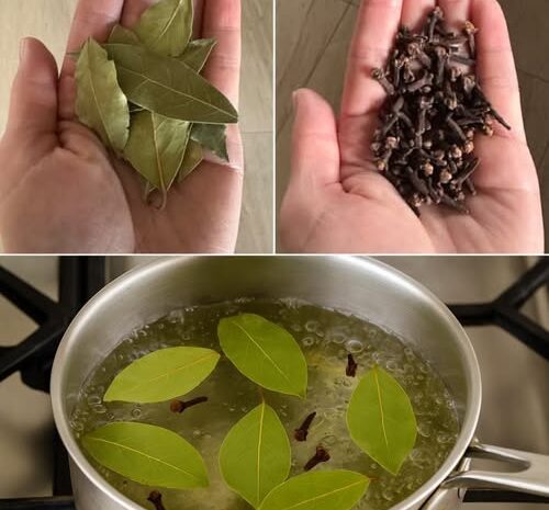 El Poder Natural del Laurel y el Clavo Hervidos: Un Elixir para el Bienestar