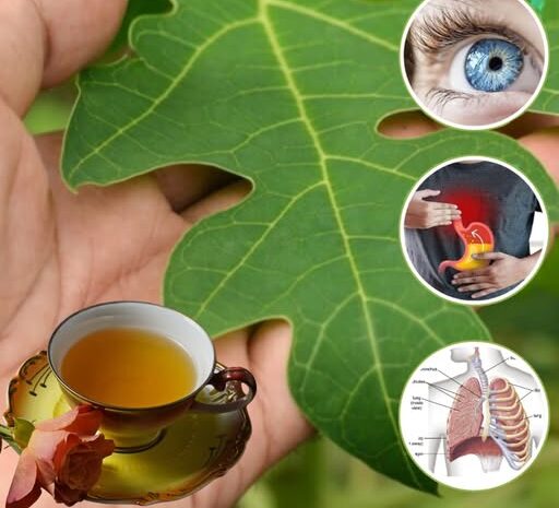 Hojas de Papaya: Beneficios y Usos en Remedios Naturales