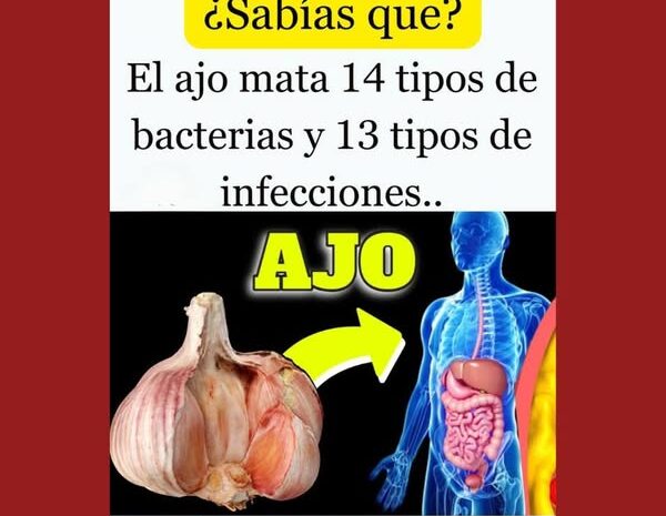 El Ajo: Un Poderoso Remedio Natural Contra Bacterias e Infecciones