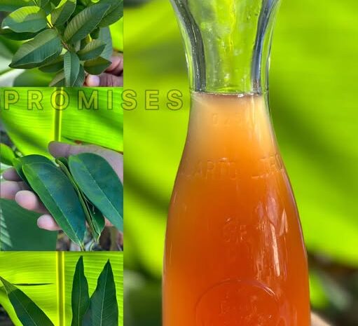 Hojas Mágicas: Remedios Naturales para Combatir Enfermedades Comunes