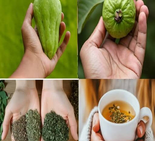 Elimina Enfermedades Comunes con Alimentos Naturales