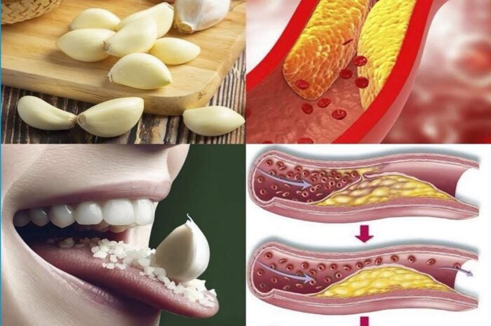 Los Beneficios del Ajo Crudo en Ayunas para la Salud Cardiovascular