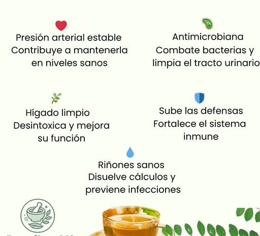 Los Beneficios de la Chanca Piedra: La Planta Medicinal que Transformará tu Salud