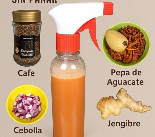 Tónico Capilar Natural para el Crecimiento del Cabello: Receta Casera Efectiva