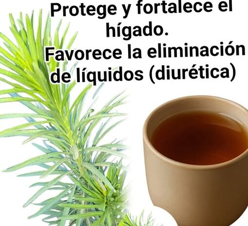 20 Razones para Incorporar la Hierba Carnicera en Tu Vida