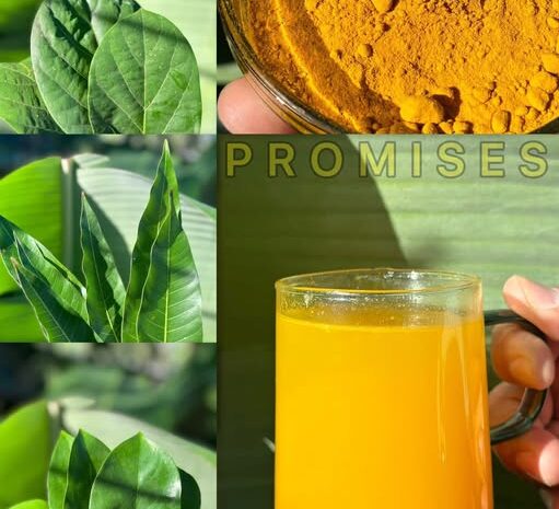 La Potente Bebida Natural que Promete Sanar Enfermedades Crónicas