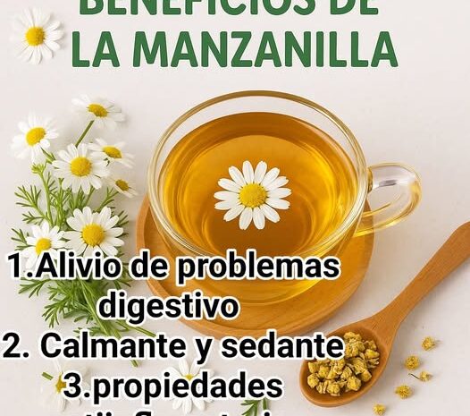 Los Múltiples Beneficios de la Manzanilla: Un Tesoro de la Naturaleza para tu Salud