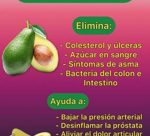 Los Increíbles Beneficios de la Semilla de Aguacate para la Salud