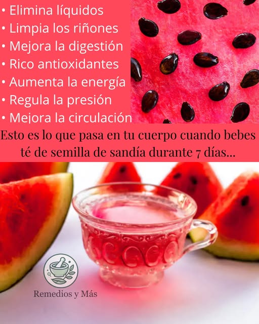 Taza de té de semilla de sandía