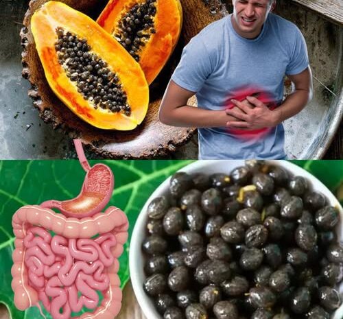 Descubre los Maravillosos Beneficios de las Semillas de Papaya