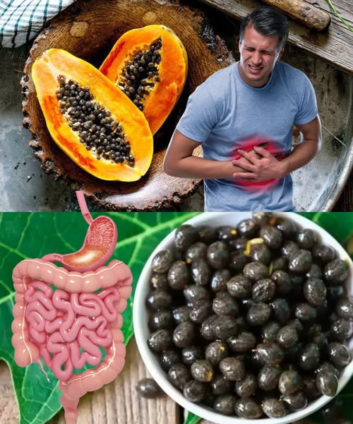 Beneficios de la papaya para la salud digestiva