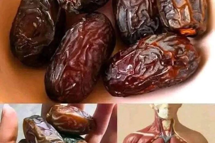 Los Dátiles: La Fruta Milagrosa que Transformará tu Salud si los Comes Cada Noche