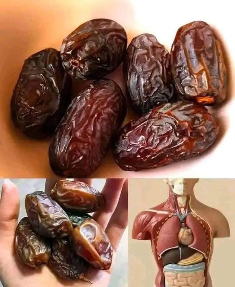 Dátiles: Beneficios para la salud
