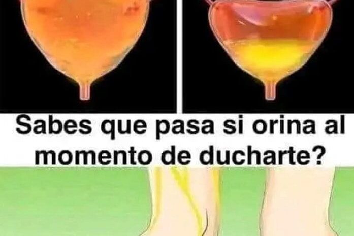 Orinar en la Ducha vs en el Baño: ¿Cuál es la Mejor Opción?