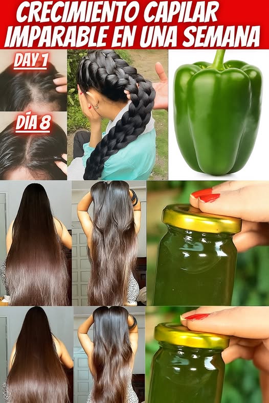 Progresión del Crecimiento Capilar con Pimiento Verde