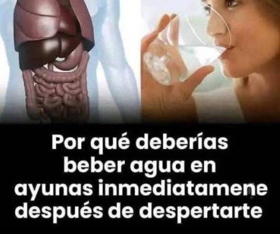 Beneficios de Beber Agua en Ayunas: ¡Transforma Tu Salud Desde la Mañana!