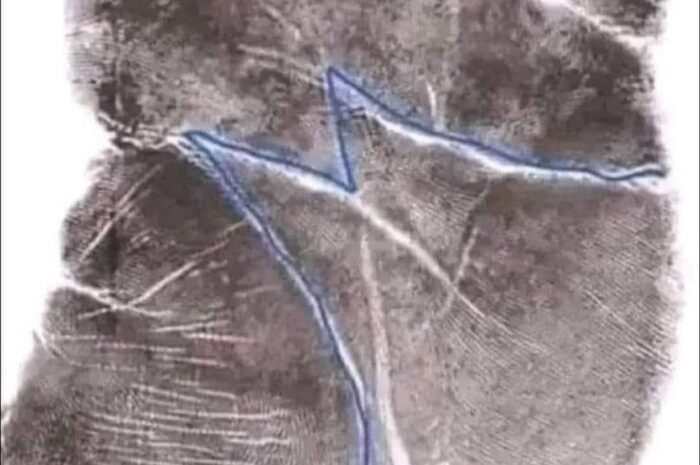 ¿Qué significa tener la letra M en la mano?