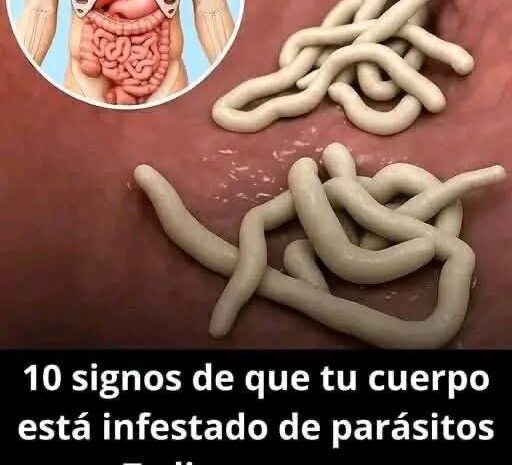 Descubre los Síntomas de Infecciones Parasitarias y Cómo Combatirlas