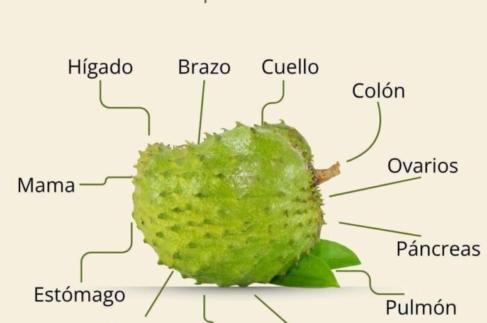 Los Increíbles Beneficios de la Guanábana para la Salud