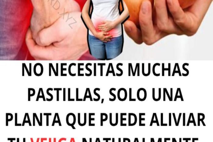 Mejora la Salud de Tu Vejiga con Este Remedio Natural