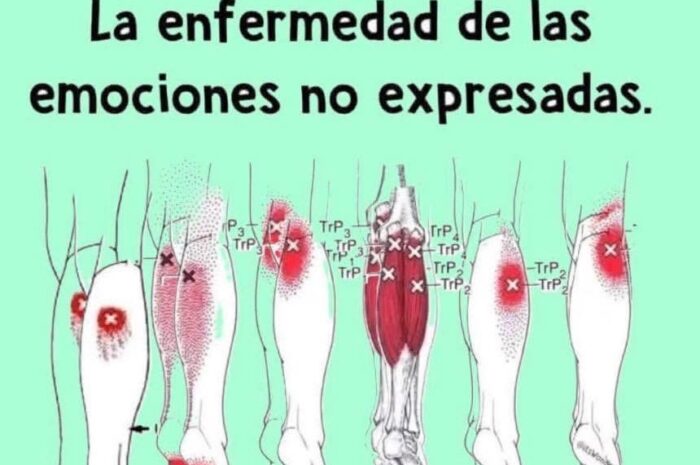 Fibromialgia: Entendiendo La Enfermedad de las Emociones No Expresadas
