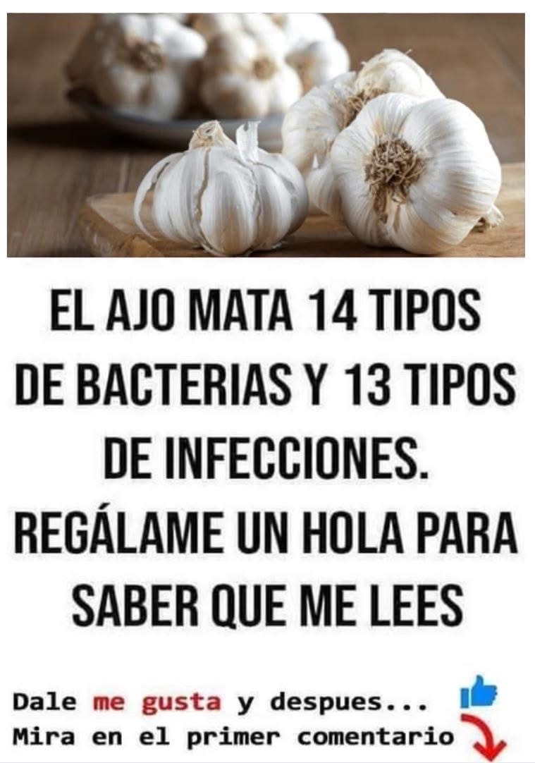 Bulbos de ajo