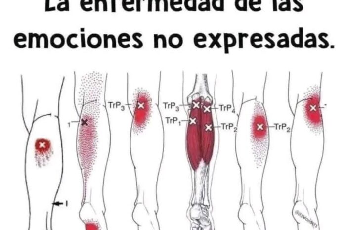 Fibromialgia: Comprendiendo la Enfermedad de las Emociones No Expresadas