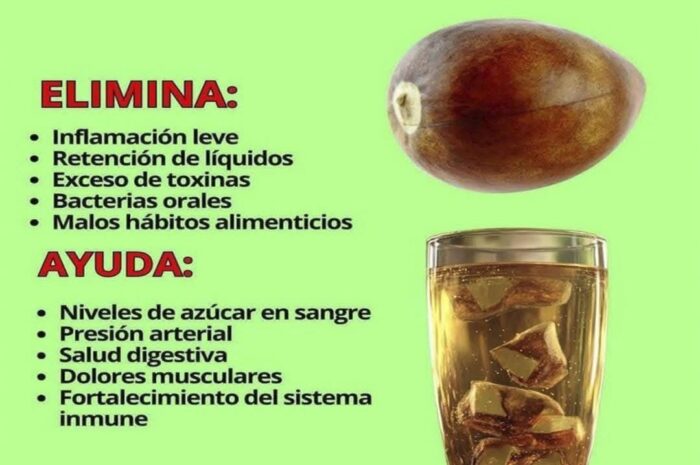 La Semilla de Aguacate: Un Elixir Natural para tu Salud