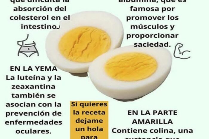 El Huevo Hervido: El Súper Alimento que Quizás Estás Subestimando