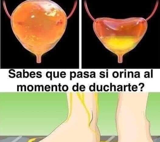 El Debate Divertido: Orinar en la Ducha vs. Orinar en el Baño