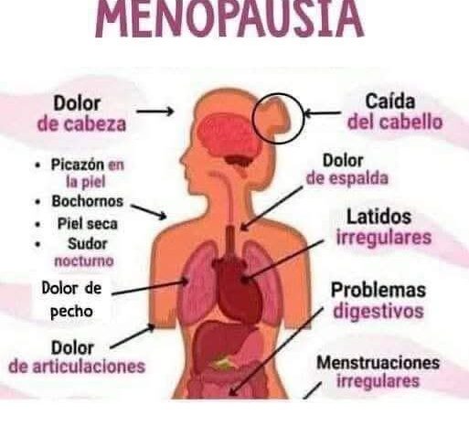 Comprendiendo la Menopausia: Síntomas y Remedios Naturales