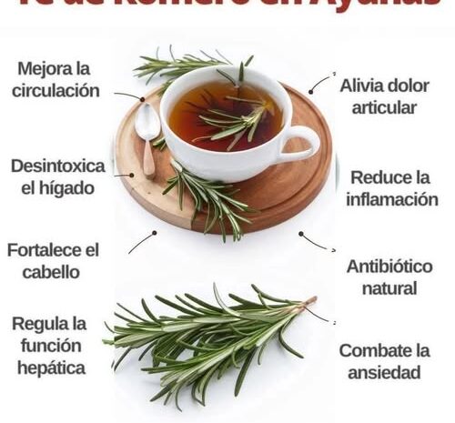 Té de Romero en Ayunas: Beneficios y Propiedades Saludables