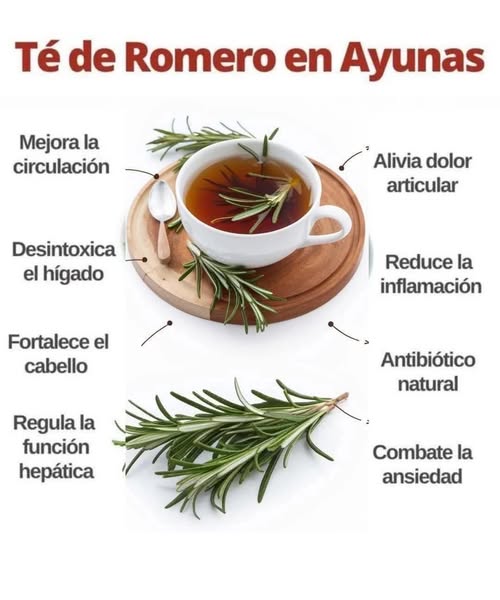 Té de romero en taza