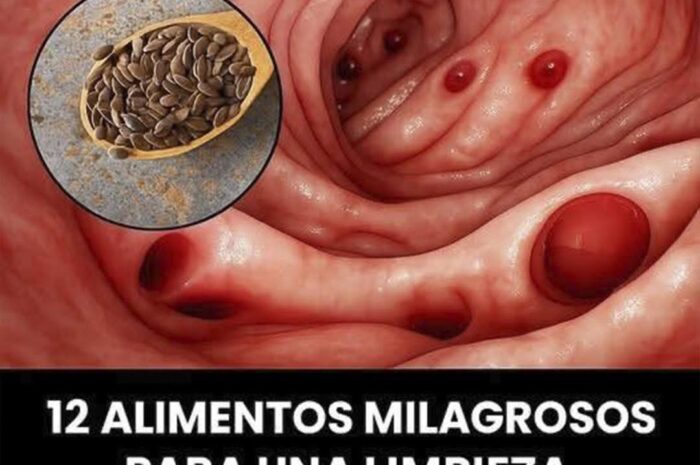 12 Alimentos Milagrosos para una Limpieza Natural del Colon