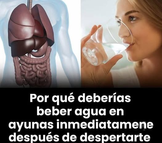 21 Signos y Síntomas de Problemas Renales y la Importancia del Agua en Ayunas