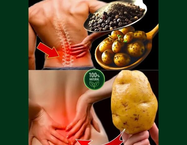 Remedios Naturales para el Dolor de Espalda: Alivio Efectivo y 100% Natural