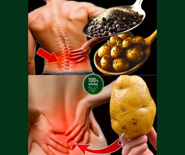 Remedios Naturales para el Dolor de Espalda