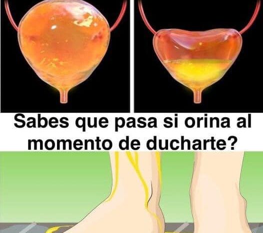 Orinar en la Ducha: Efectos en la Vejiga y la Salud