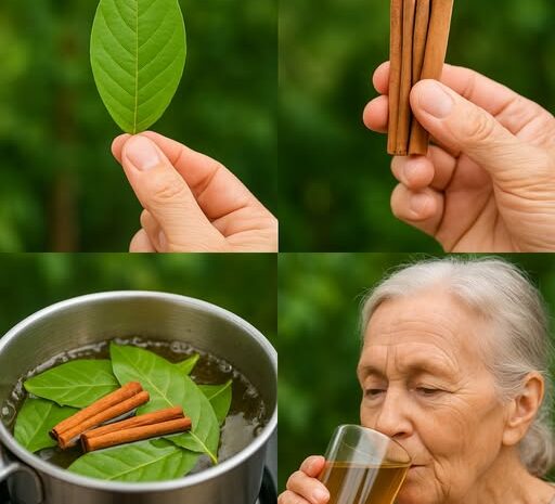 Remedio Natural para la Salud Renal: Infusión de Laurel y Canela
