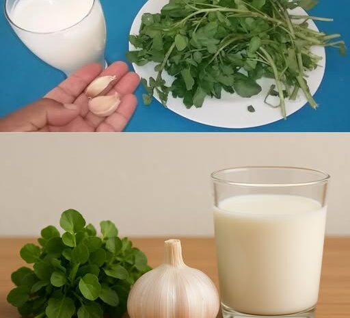 La Bebida Natural que Mejoró Mis Pulmones: Un Remedio para la Neumonía