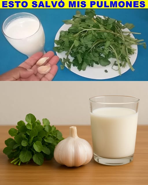 Bebida natural para pulmones