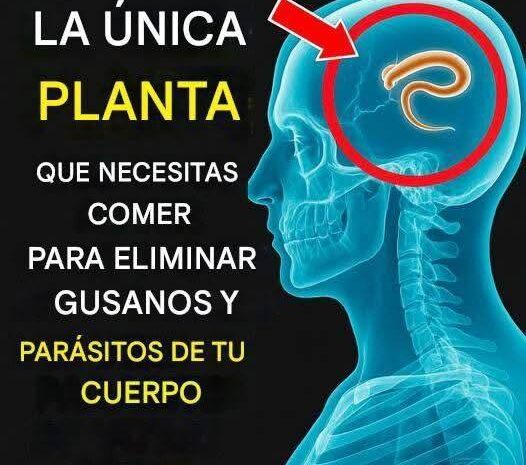 Elimina Todas Las Lombrices Y Parásitos De Tu Cuerpo Con Esta Planta Natural